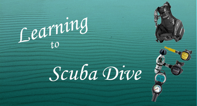 Dive Lessons – The Beginning