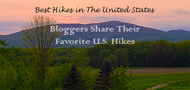 Bloggers Share Their Favorite Hiking Trails in The United States